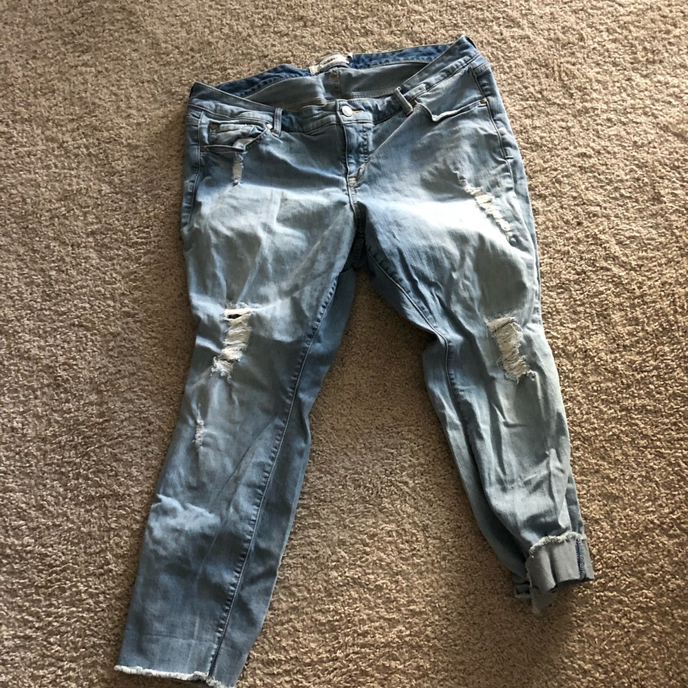 Torrid Capris